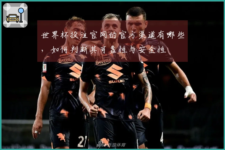 世界杯投注官网的官方渠道有哪些,如何判断其可靠性与安全性