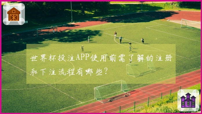 世界杯投注APP使用前需了解的注册和下注流程有哪些？