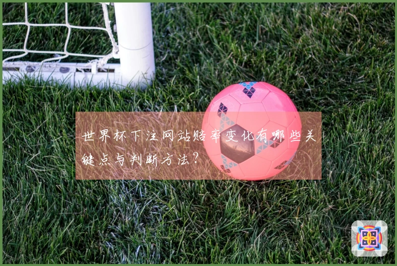 世界杯下注网站赔率变化有哪些关键点与判断方法？