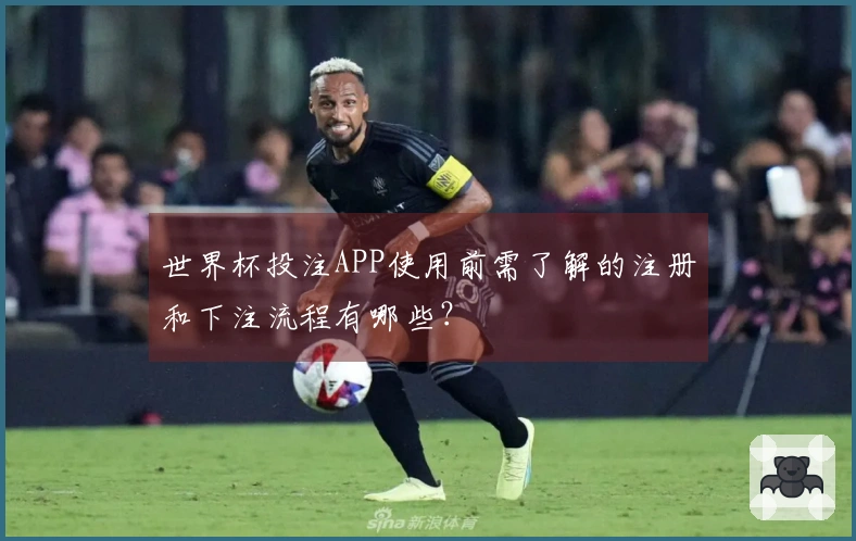 世界杯投注APP使用前需了解的注册和下注流程有哪些？