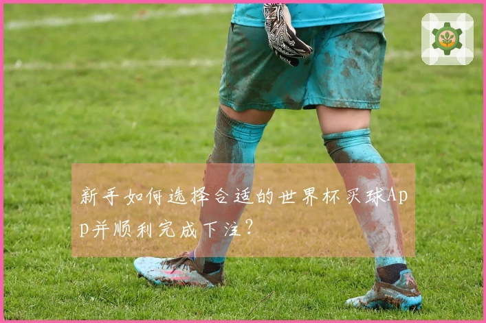 新手如何选择合适的世界杯买球App并顺利完成下注？