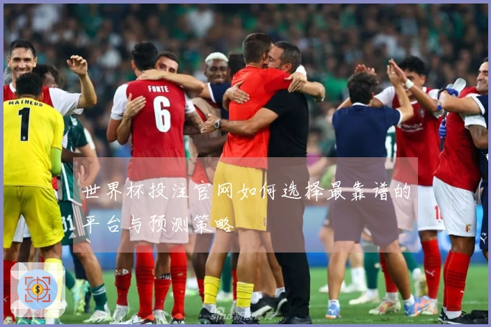 世界杯投注官网如何选择最靠谱的平台与预测策略