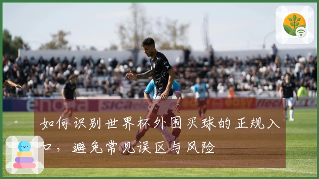 如何识别世界杯外围买球的正规入口，避免常见误区与风险